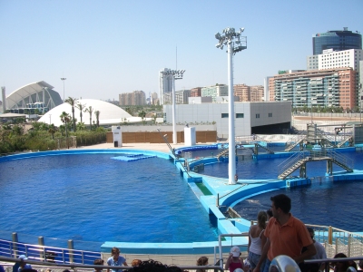 Il Delfinario del Parco Oceanografico di Valencia