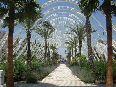 La città delle arti e delle scienze di valencia Citta delle arti e delle scienze di valencia