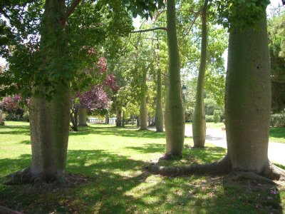 Jardines de los Viveros