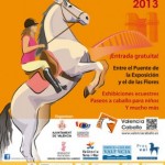 Valencia Caballo 2013