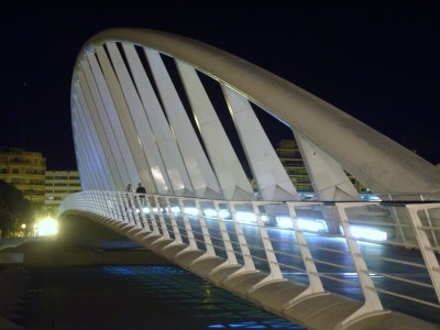 Il ponte di Calatrava a Valencia