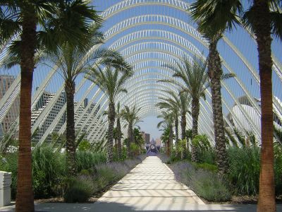 Il tunnel dell'Umbracle visto dall'interno