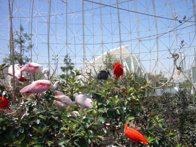 La voliera sferica nel Parco Oceanografico di Valencia